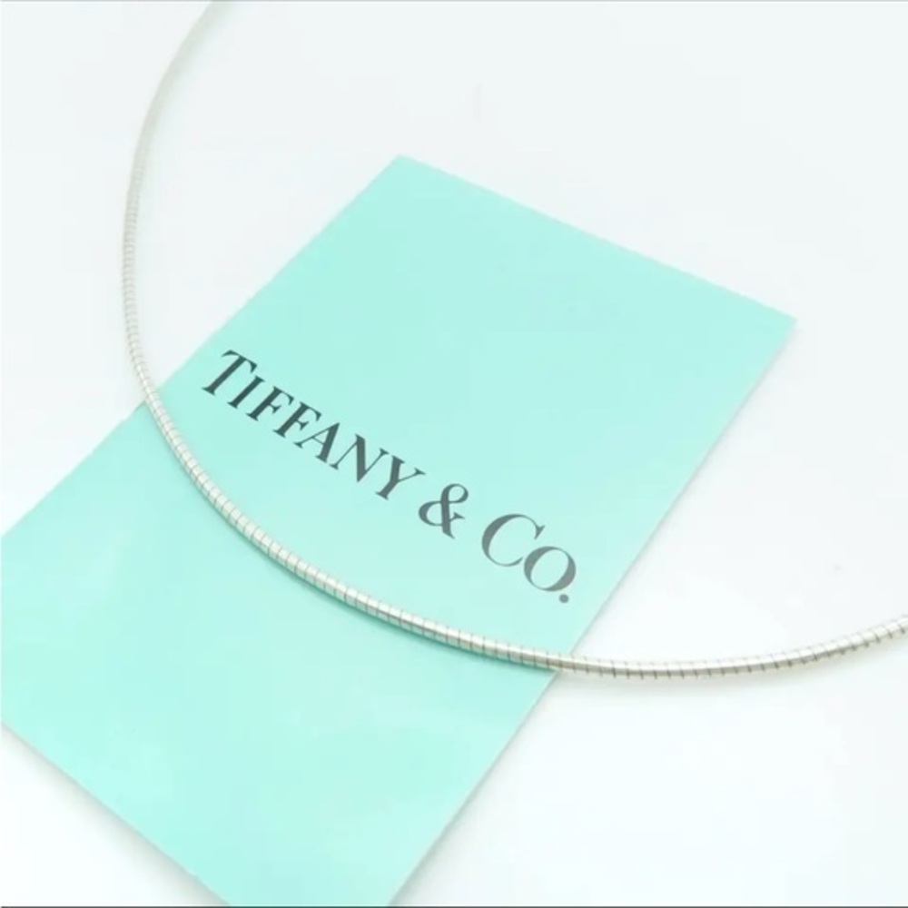 Authentic Vintage Tiffany Co. Tiffany Snake Chain Silver Necklace Choker 16" Ste